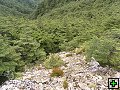 thn_NZ leden-unor 2006 177.jpg